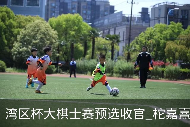 湾区杯大棋士赛预选收官 柁嘉熹黄云嵩等14人出线